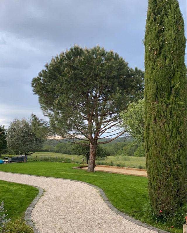 Travaux d’entretien de jardin Lyon 