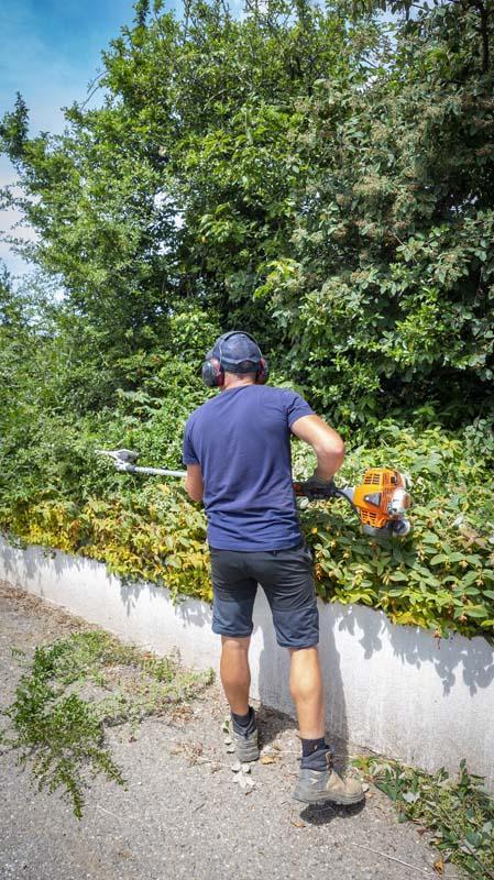 Nous coupons tous les arbres malades, infestés, morts et gênants à Lyon.
