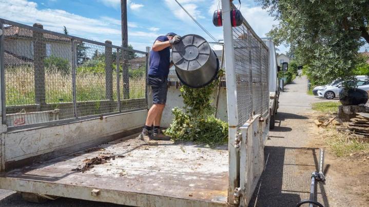 Travaux d’abattage d'arbres Lyon