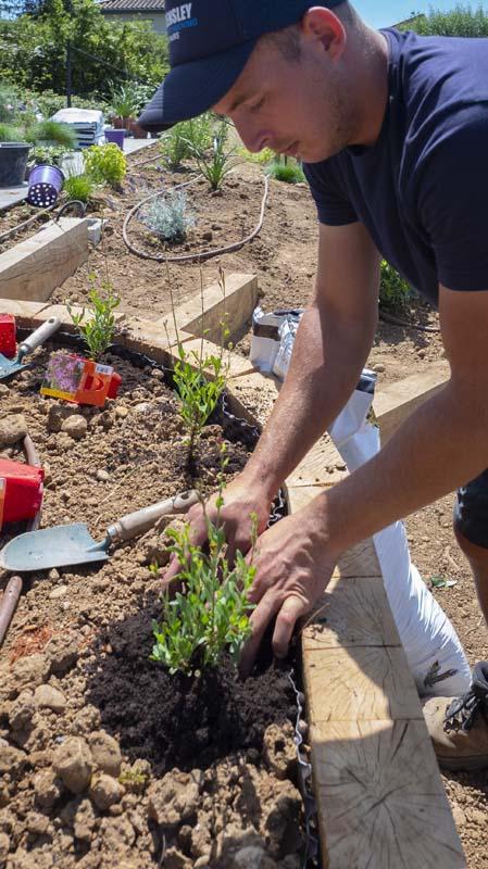 Entretien de jardin Lyon
