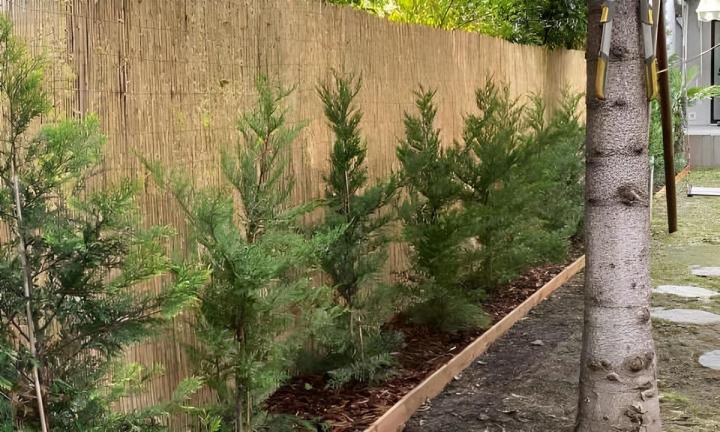 Travaux d’entretien de jardin Lyon 